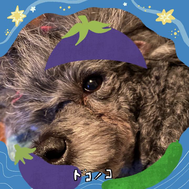 2a6e8060 c40e 4eef be27 de35d1234ad5 1755241113514