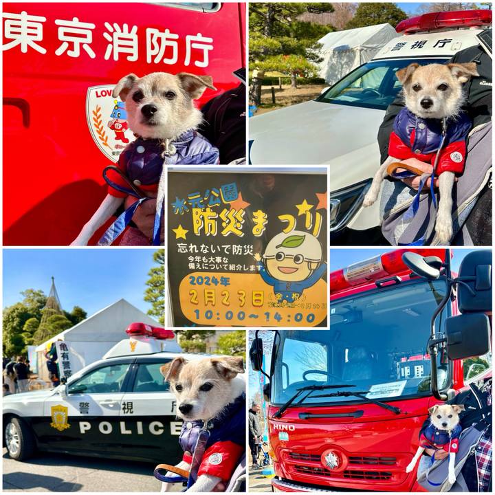 2a6eb725 25f6 4c1b a327 6f53f446828d 1708758602578