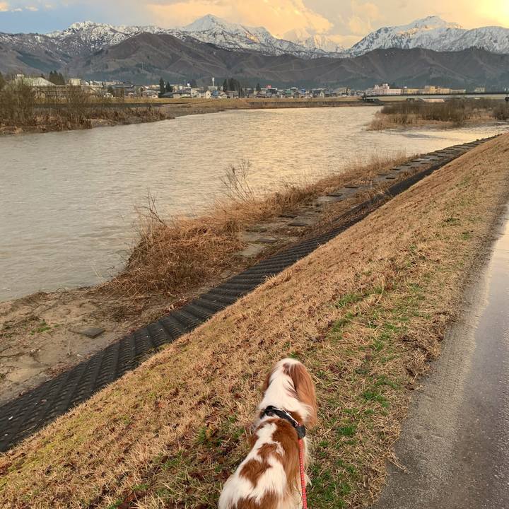 2a6f198f 78b3 4e92 aa4d 42bd340de7bf 1583830931545