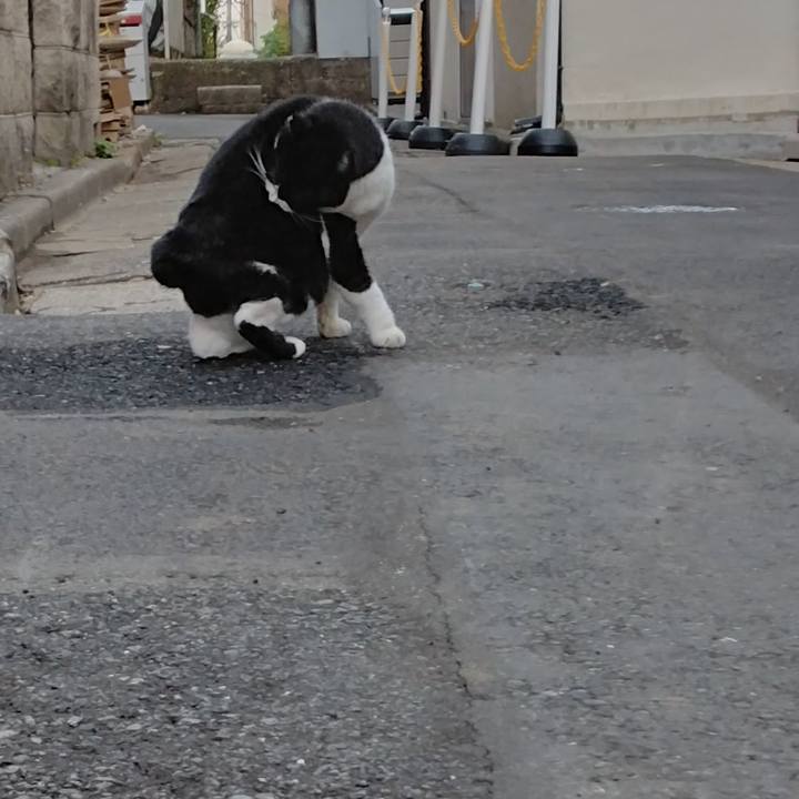 2a6f1b52 c4f8 43e1 a886 34860be16fff 1700724641326