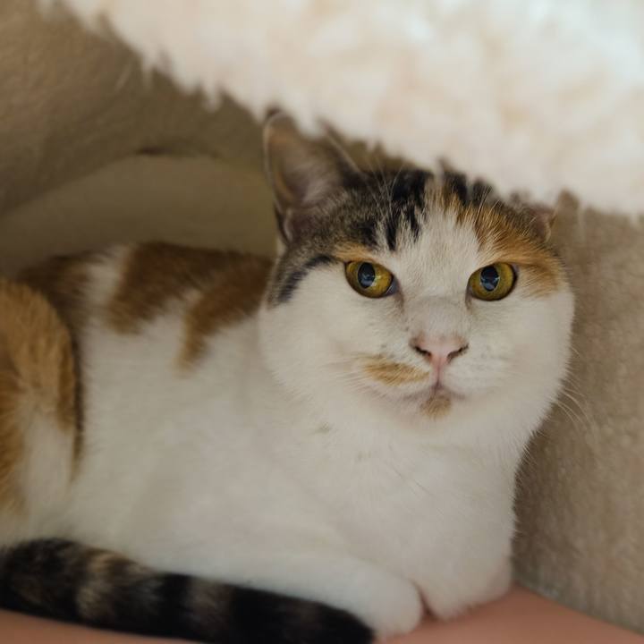 2a6f402e 74fa 4682 884f 55c3af38aaf1 1768035403744