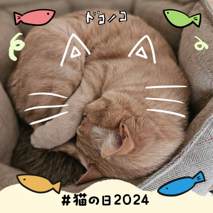 2a6f4794 2852 48bc bf7a 62bea4232a7a 1708568791200