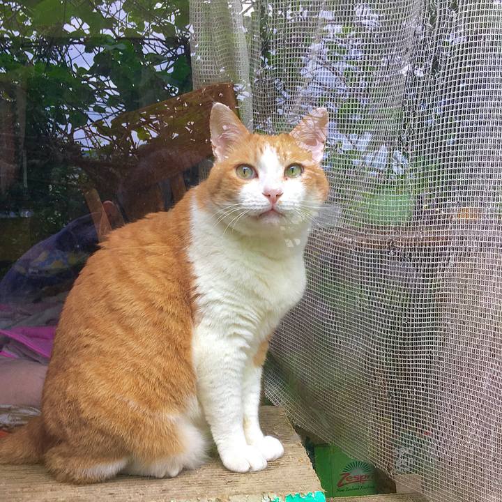 2a6f8433 152b 45bf 9d5d 4ea1e7ad77d0 1621633354834