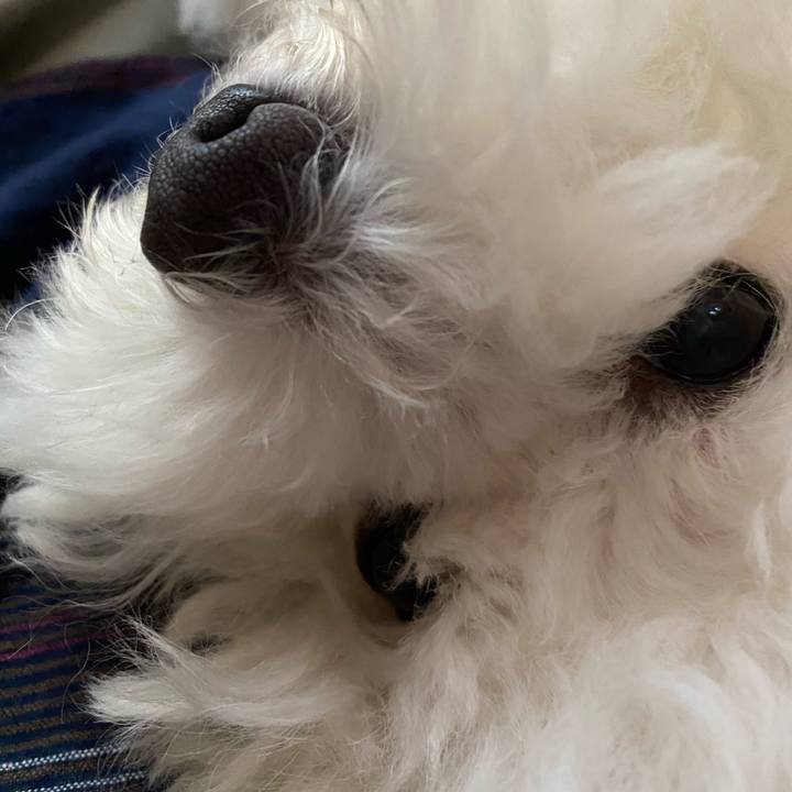 2a6f9c5e 226c 4218 b9d2 c4c015dda0c4 1631949034282