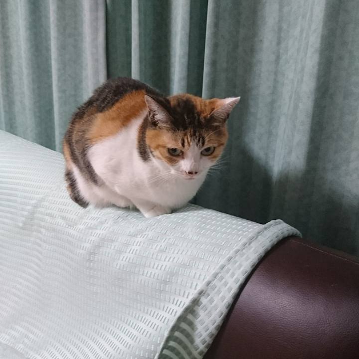 2a6faa0c 80d0 494b abdd 84da5308adad 1534411103815