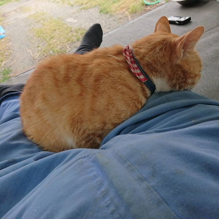 2a6fc1f7 c1b8 42e0 a85b df9fd278c155 1560070956493