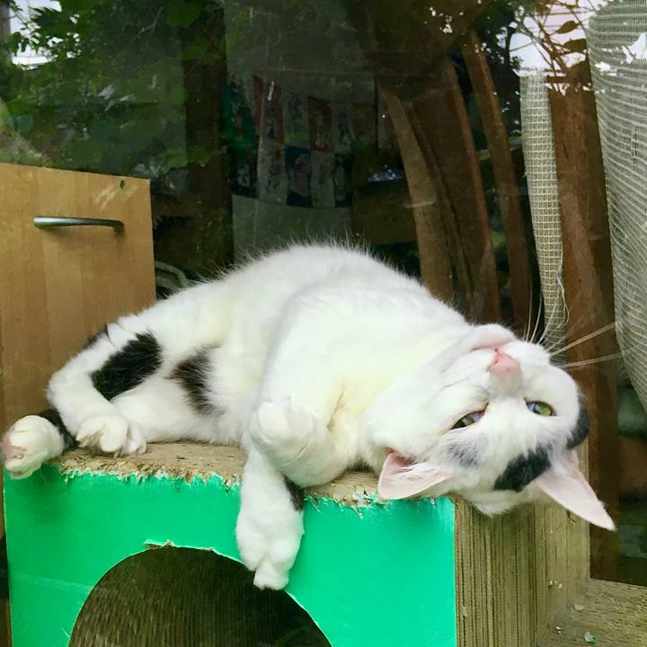 2a6fe540 b0ed 49b7 9d4a 88cafafb55c7 1621634083193