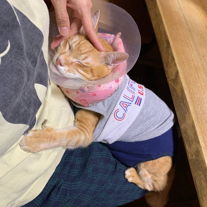 2a70125b 57aa 43fa a71c 2220e67e6364 1629549753762