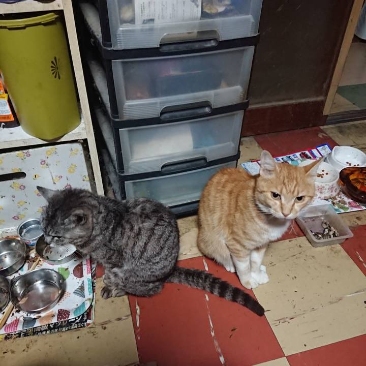 2a7023dd 041c 4e1e 8cac b769a263737f 1593113048737