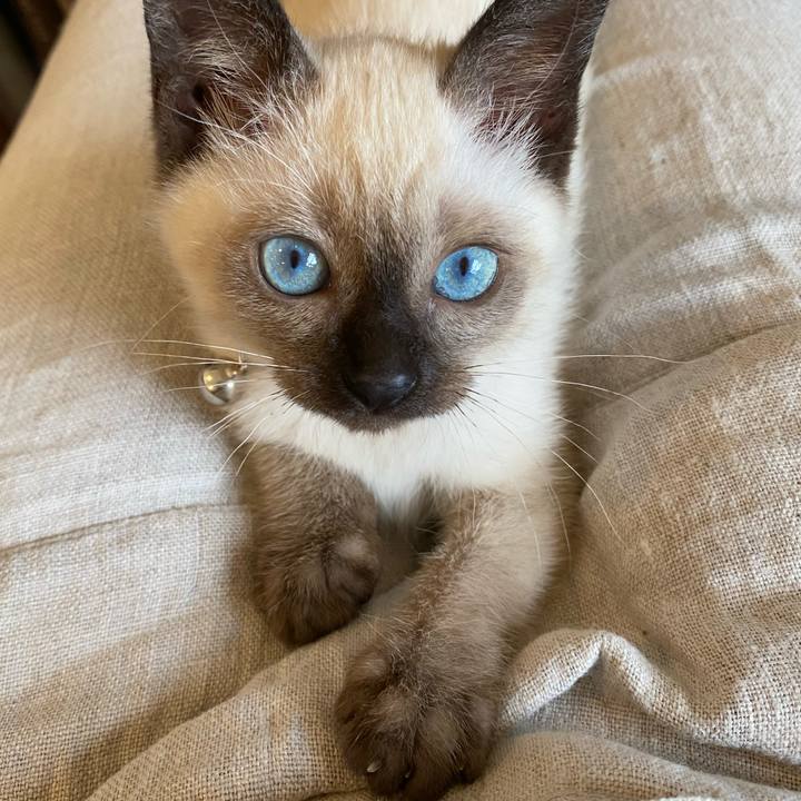 2a7038da dd25 4962 b725 6be35dffd539 1687607346647