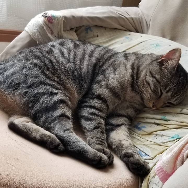 2a703c4b 003e 48a0 a619 f027005500dc 1689647841870