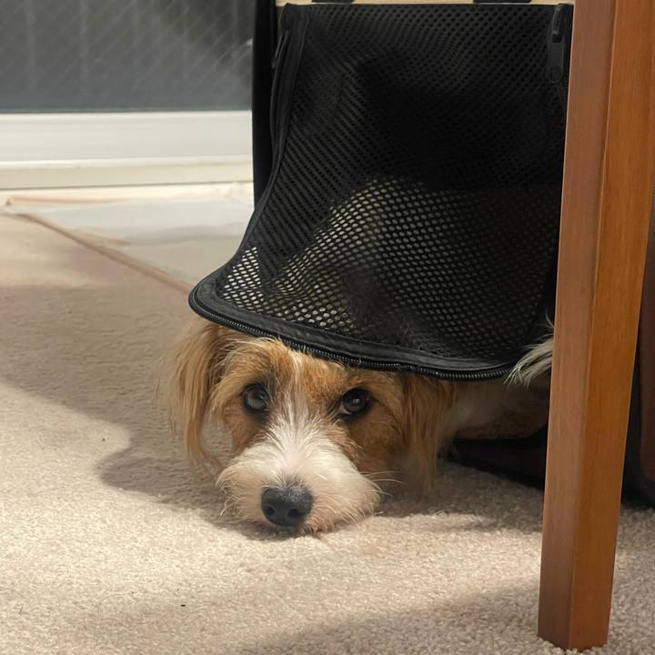 2a704ef7 8fc9 44a5 a235 75447554aa07 1760443305795