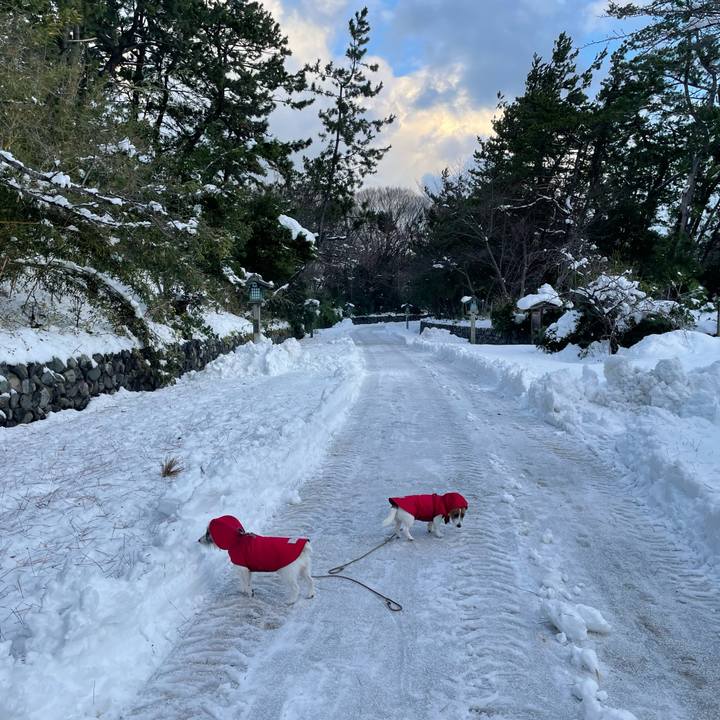 2a705e2f 725b 4365 9043 9cfed50be437 1703287501049