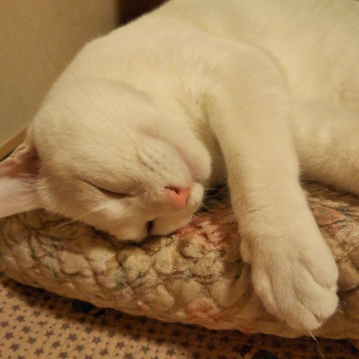 2a70a51e b837 4ced bb0b b305aa179b8a 1531147260994