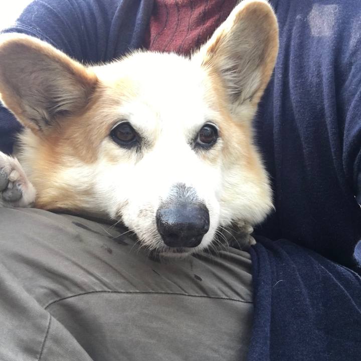 2a70b7f1 2319 4f81 82af e33add1c742a 1555455417917