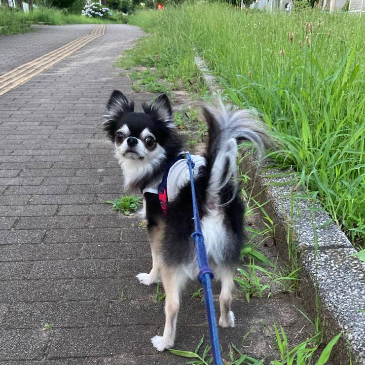 2a70db47 ce7a 4f09 8f62 0ccfb9ed1352 1718380677350