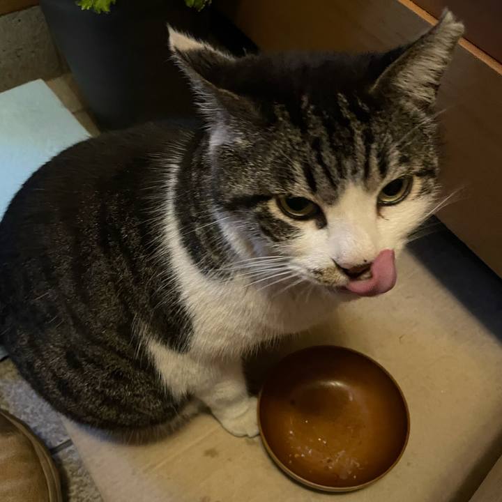 2a710303 d8ee 4262 b00d 7ef63f39cb53 1614676659701