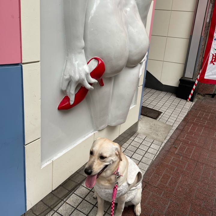 2a711684 7356 4234 9645 d0eb5e5bb0d6 1636357035898