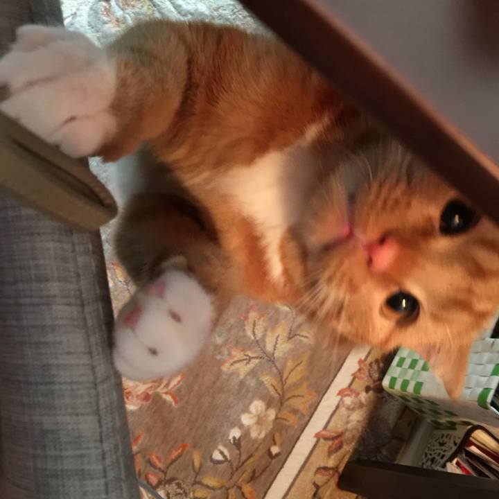 2a712288 c30c 4388 9c84 7f3ac2b01738 1522555832591