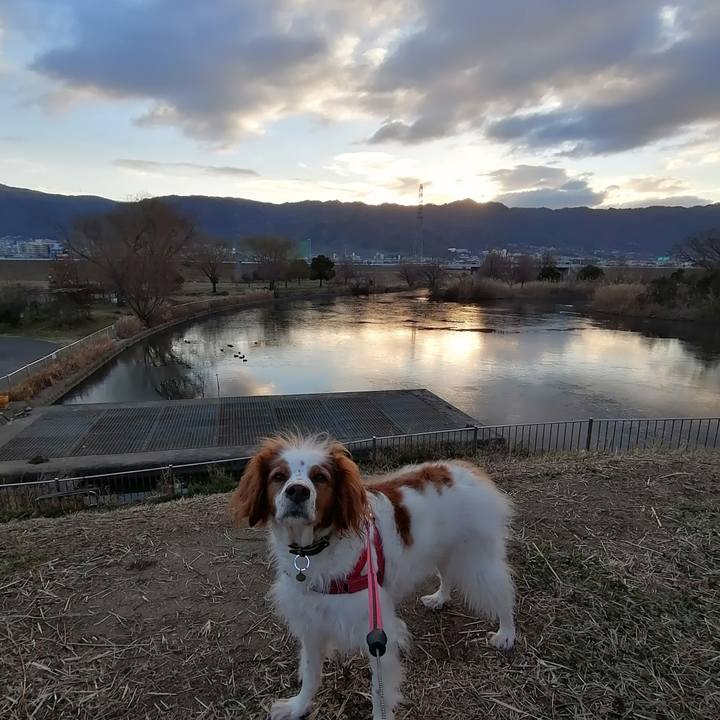 2a712565 0b8d 4034 8d23 5d1d8b0a618b 1611964930332