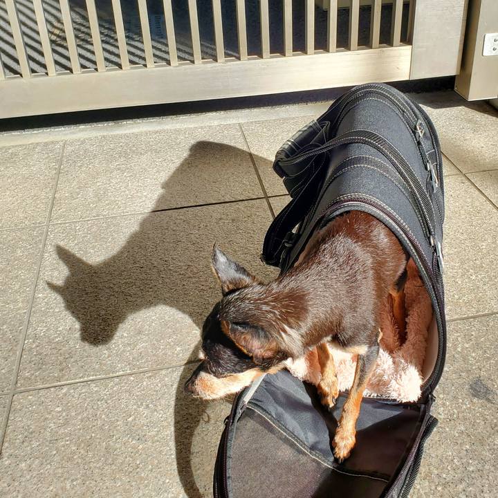 2a712743 405d 4e57 8b42 07be23520ad7 1702690203745