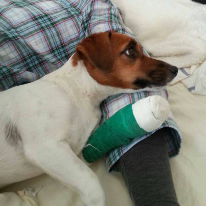 2a71295d db31 46ae 92c7 077cce05ff99 1761910654359