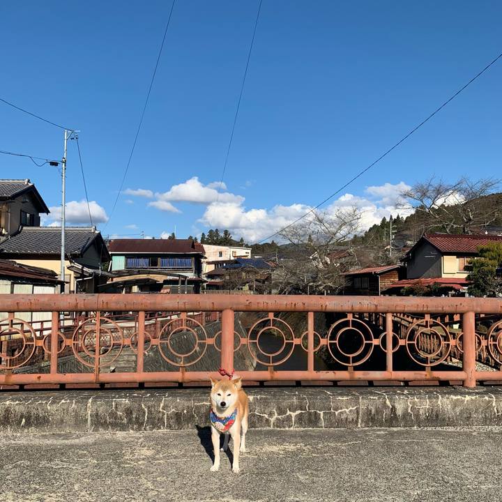 2a71527b a321 465d a464 90d365443f80 1639472089204