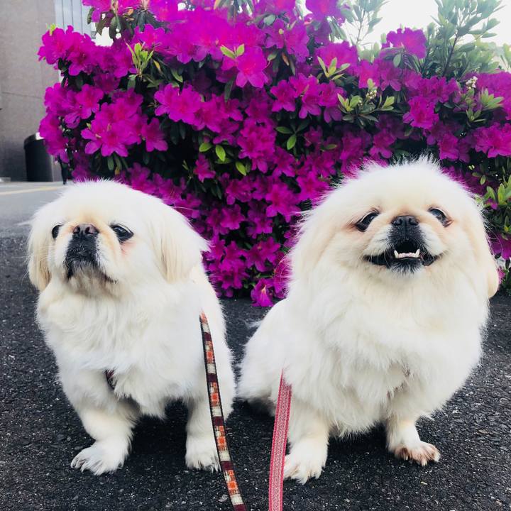 2a7167a7 75db 4553 abc6 fdda3d03300d 1557497955060