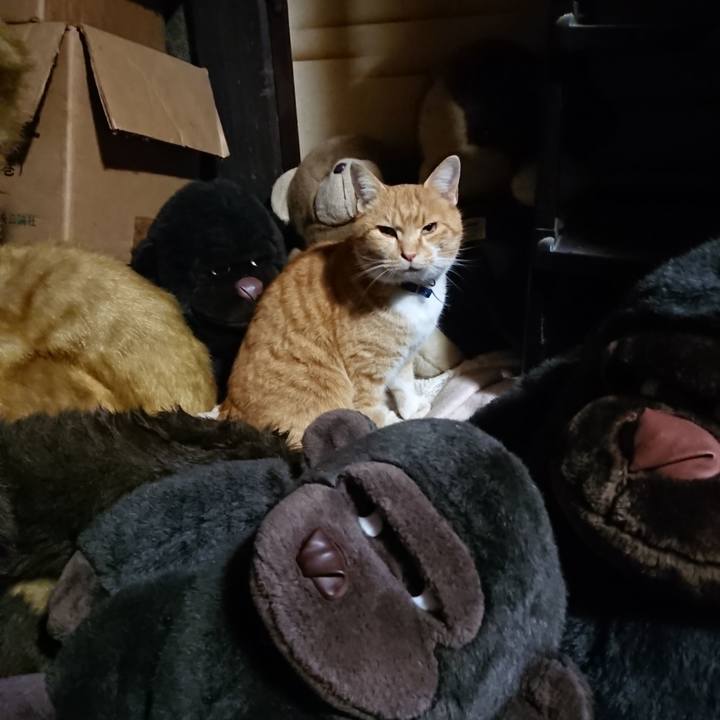 2a717472 37ab 4e03 a635 4cc2deec92c8 1606818563637