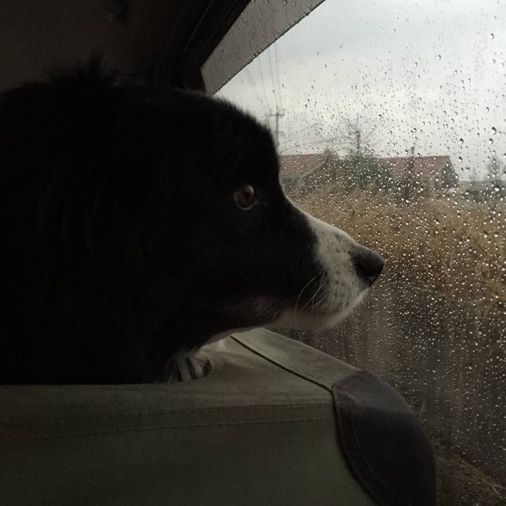 2a718175 8e88 4a38 adab 8f68f1307e18 1547938121079