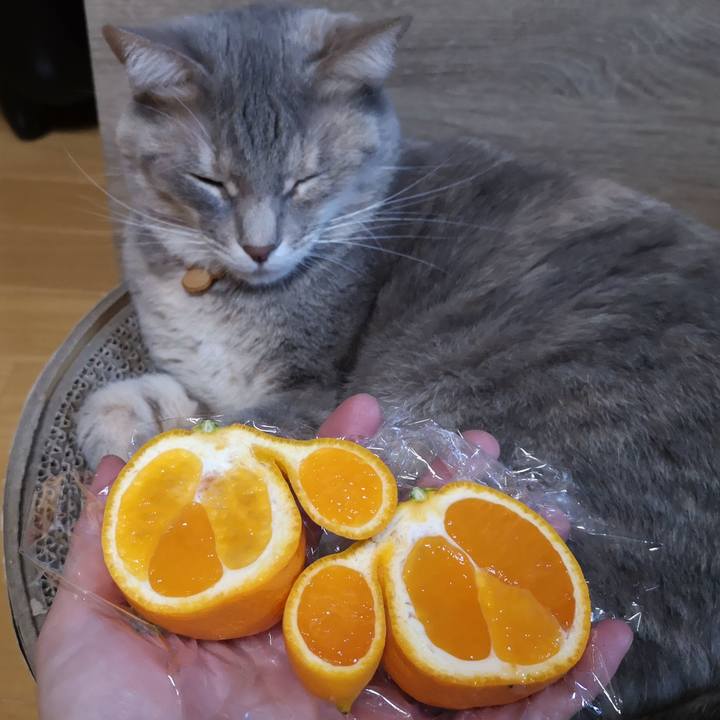 2a718cef a451 4be6 93b0 7f7e44bc7f56 1574346904931