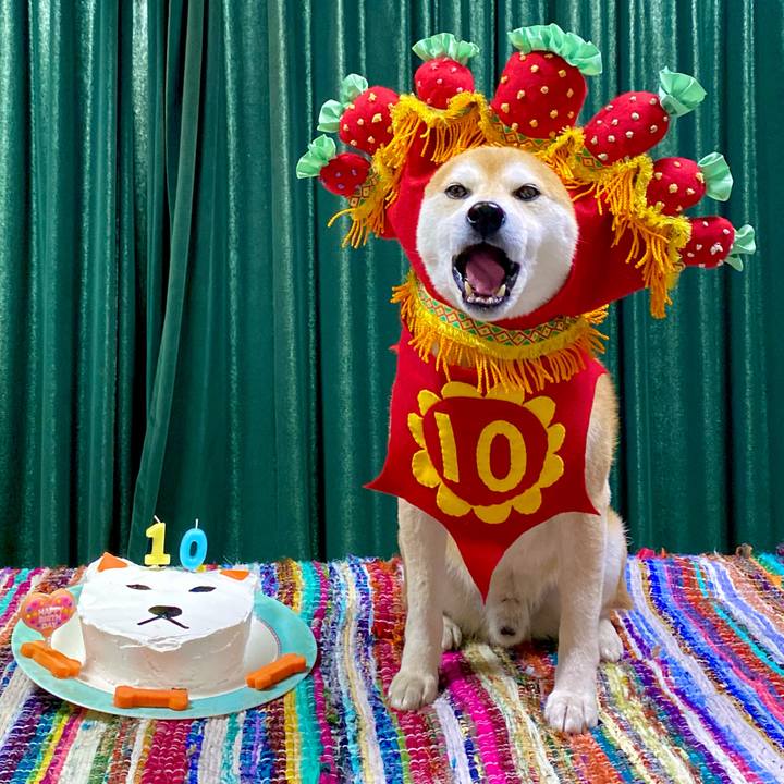 2a718d89 f5ca 470e 9721 92c05cc25340 1771246963157