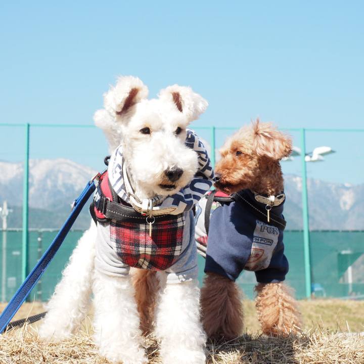 2a71ce8f 8f93 4204 83ad 6a5f644eba46 1552103657067