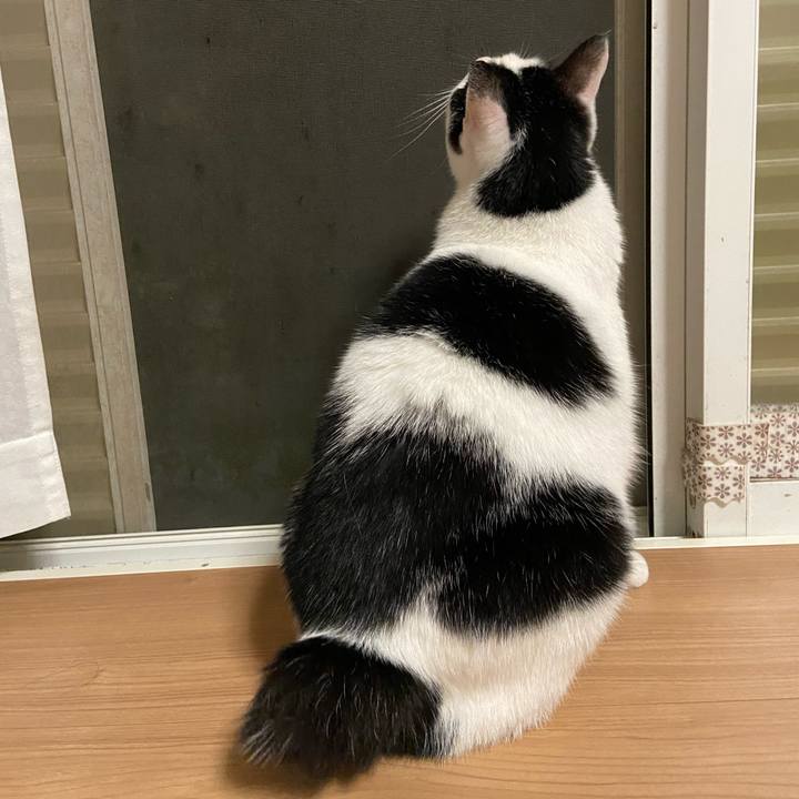 2a71e2ae 863f 475a bba6 abb6ae74aca5 1599479127498