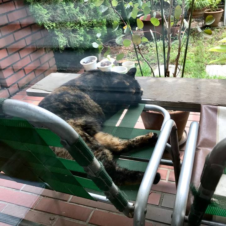 2a71e991 500c 4085 9452 ea9b23e51df6 1534052383824