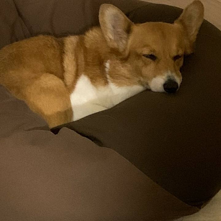 2a71ecd4 b734 4567 a9f6 4a7796e8aec4 1709809715262