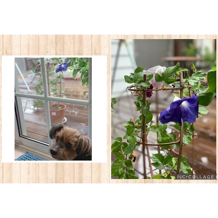 2a72173d 5944 4085 a161 69e360aa47b1 1628376707778