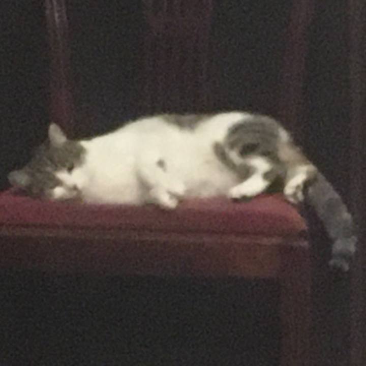 2a721991 d4e9 4b75 a726 499b0fafcd80 1633048498281