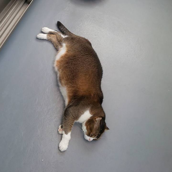 2a7228e6 9089 4438 85a4 9876752fc1a5 1722464837522