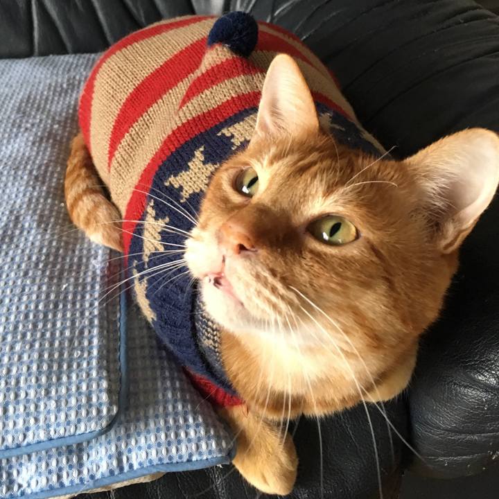 2a725af0 9a6f 450f a9ae 1248d5e17950 1542010417423