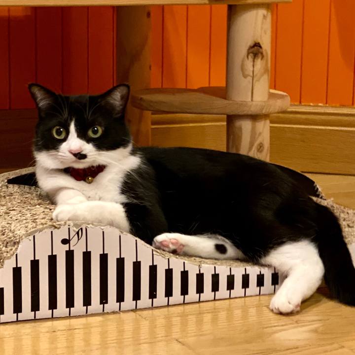 2a7265ac 7923 4041 8a5b e0f7a865d181 1576558509895