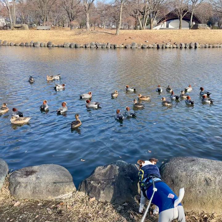 2a727ab4 90f4 4a3b 8515 07729fbe8ed3 1737448387603