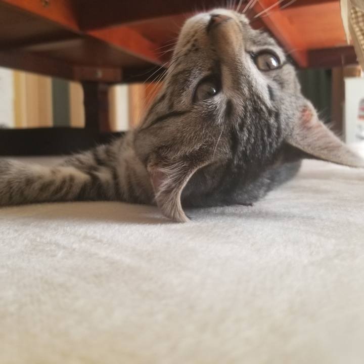 2a727bb0 036d 4bbe 8cf4 a61dbe4a3976 1665762918629