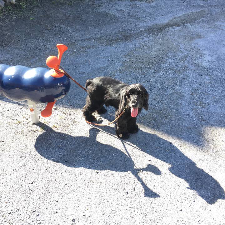 2a72bbf1 ee31 4bb1 841b 23812b1adcd7 1574132858349