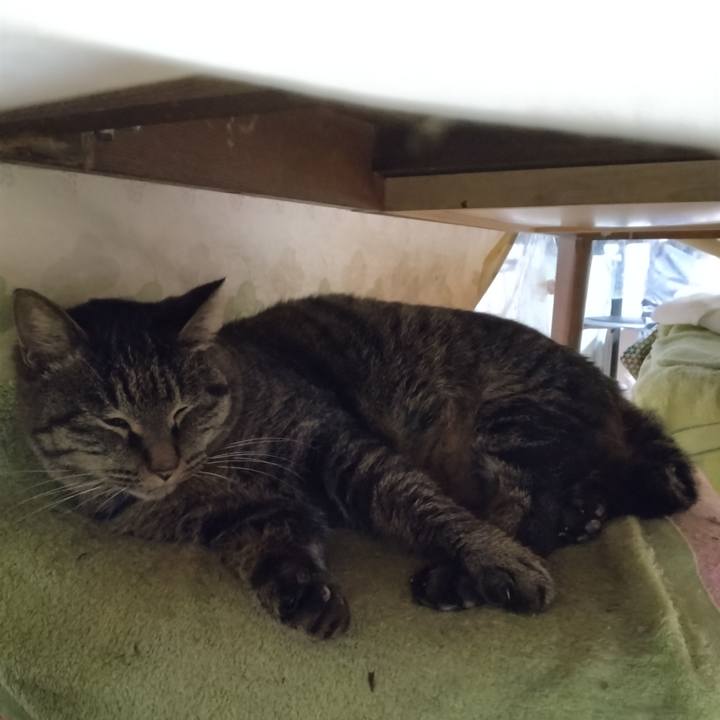 2a72bc46 9fbf 4f24 93d7 0ecf026e8c7b 1703149582031