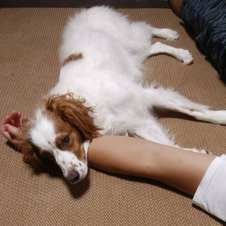 2a72e778 5897 48f4 8e93 eb4d4c5cc6d1 1533127482492