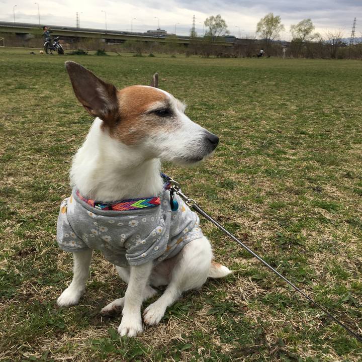 2a72f81a f2a8 4dd1 b7fe 6c53357075d2 1647737679264