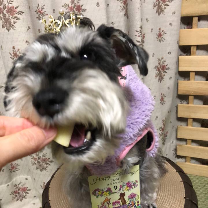 2a730201 b570 4c89 8824 69a60613d180 1672833109875