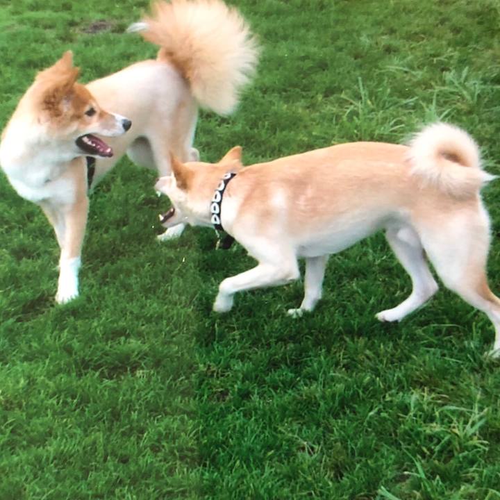 2a730beb 3beb 4687 ac60 a11d9e67bd8b 1523015211875