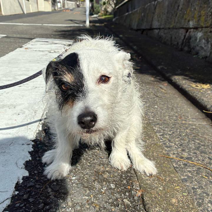 2a73146b cf5c 4d03 87c4 4d56f6b6140a 1762736178012